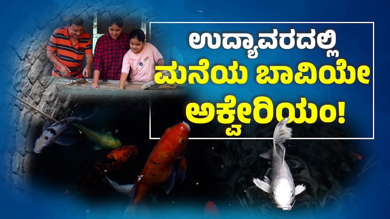 ಸಾಮಾನ್ಯ ಬಾವಿ ಒಳಗೆ ಬಣ್ಣಬಣ್ಣದ ಮೀನುಗಳ ಲೋಕ! | A Well Turns Into an Aquarium! | Udayavani