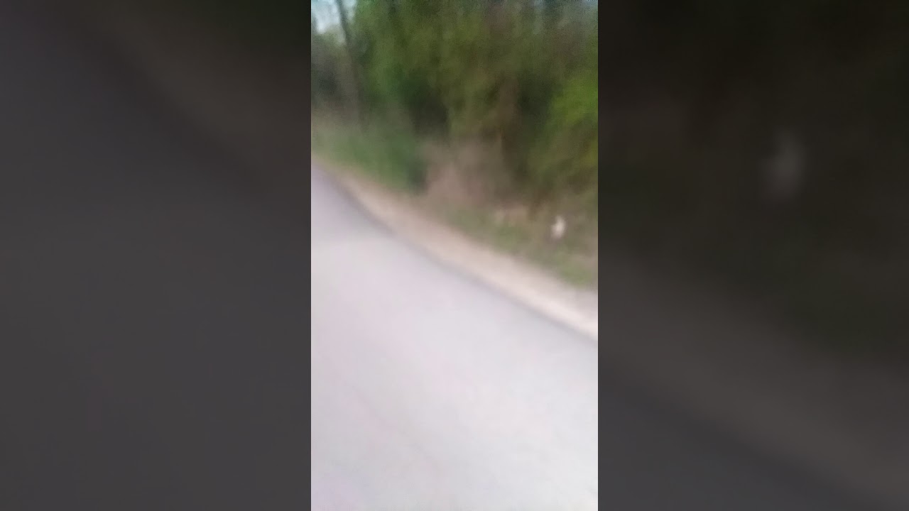 Hawk cove Leak 3/31/18