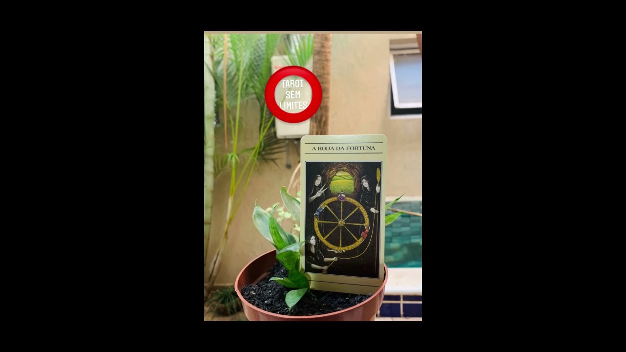 MEDITAÇÃO GUIADA COM TAROT | ARCANO DA SEMANA: VIBE SEMANAL - A RODA DA FORTUNA @tarot_sem_limites