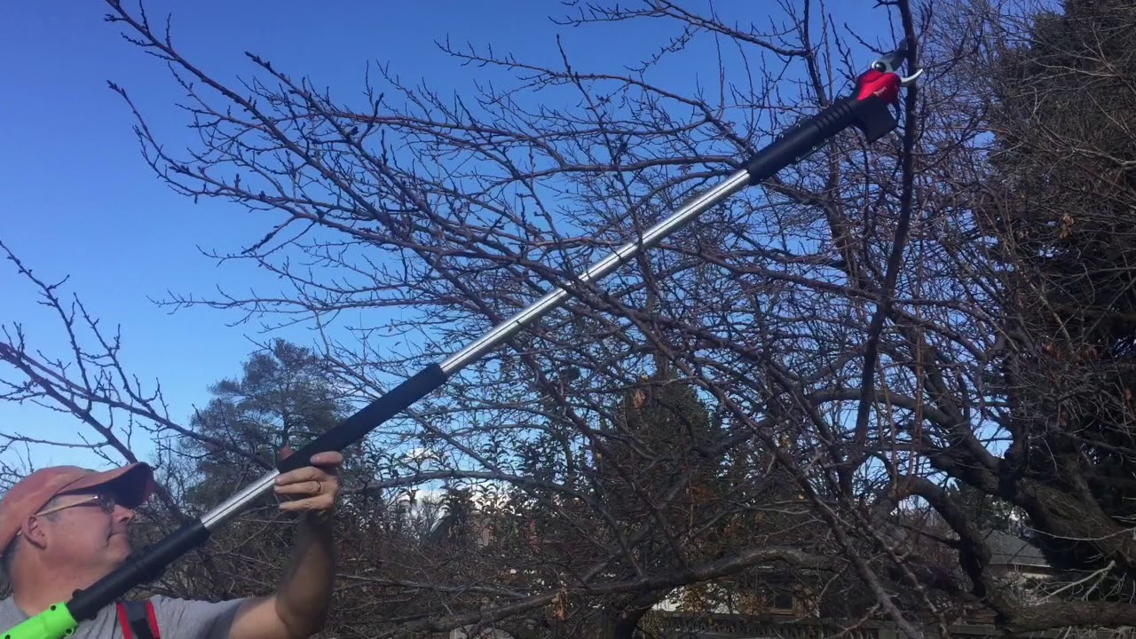 Electric Pole Pruner - Loppers