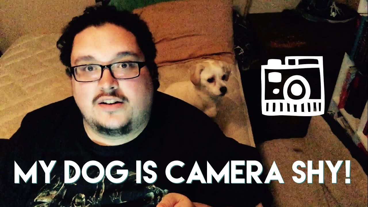My Dog is Camera Shy! (Days 882-884)