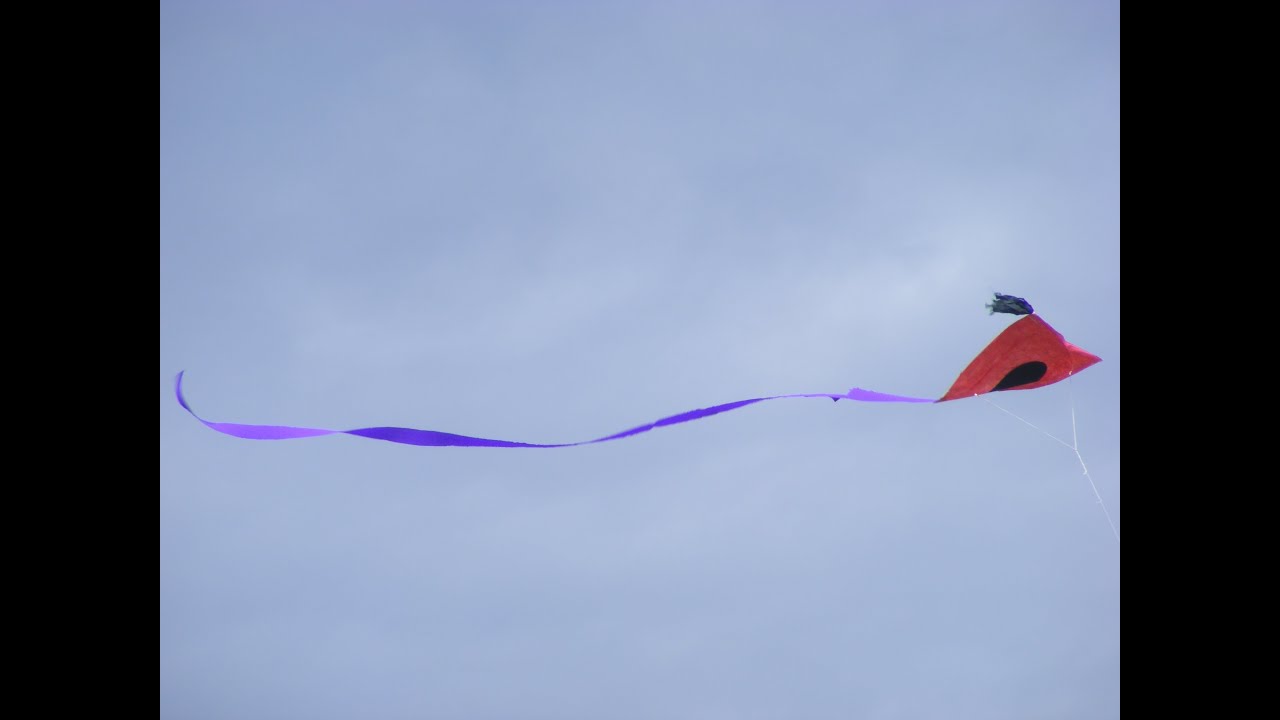 Combat de cerf volant