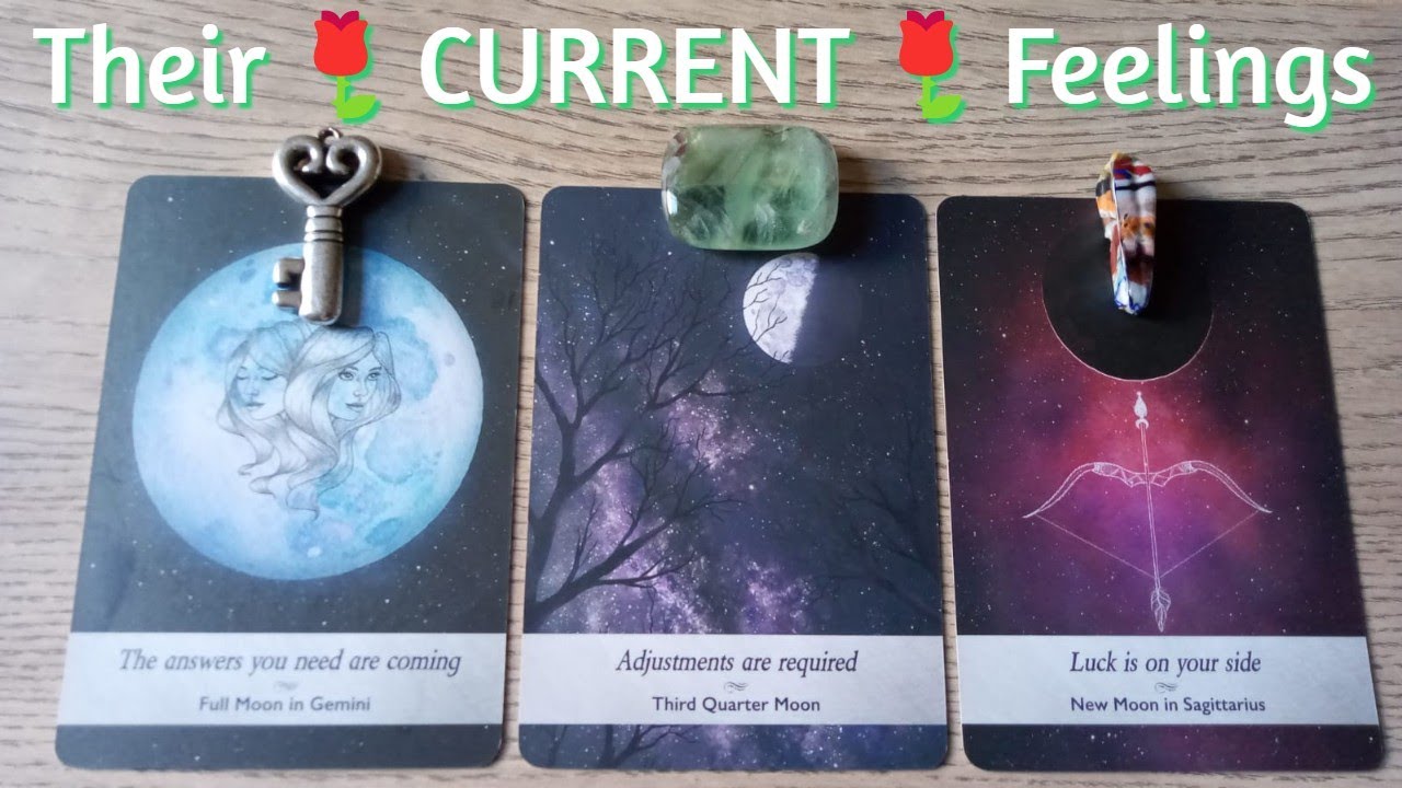 💐What Are Their 🌹CURRENT FEEELINGS🌹 For You? ❤️‍🔥Pick a Card❤️‍🔥Timeless Love Tarot. 💐