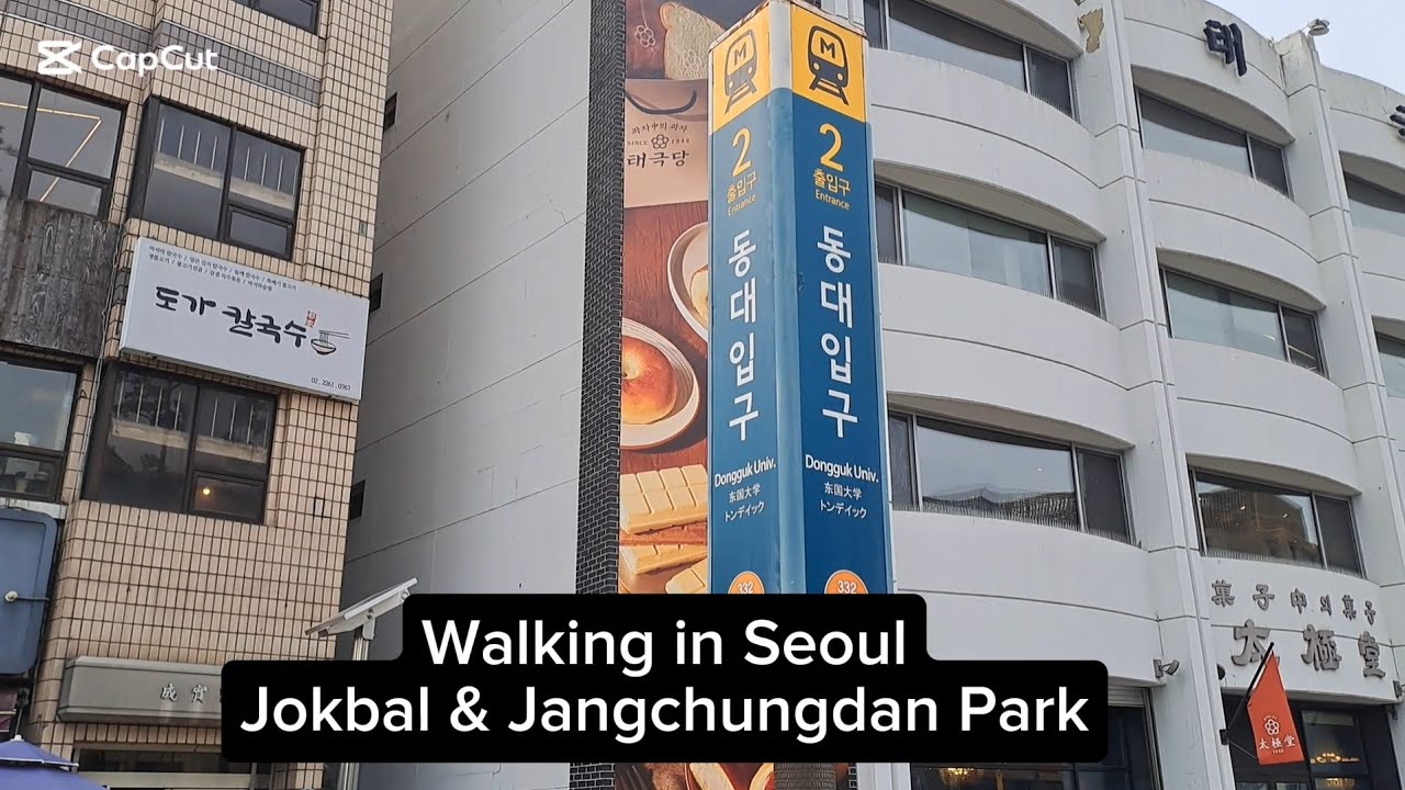 Seoul Food Street & Park Walk – Jangchung Jokbal & Jangchungdan Park