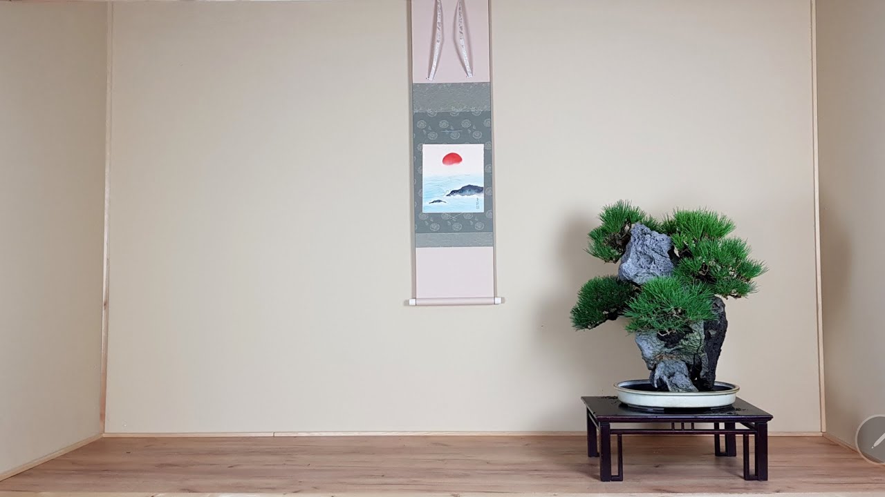 BONSAI-NASADZENIE NA SKALE by Piotr Czerniachowski @AKiNAbonsai