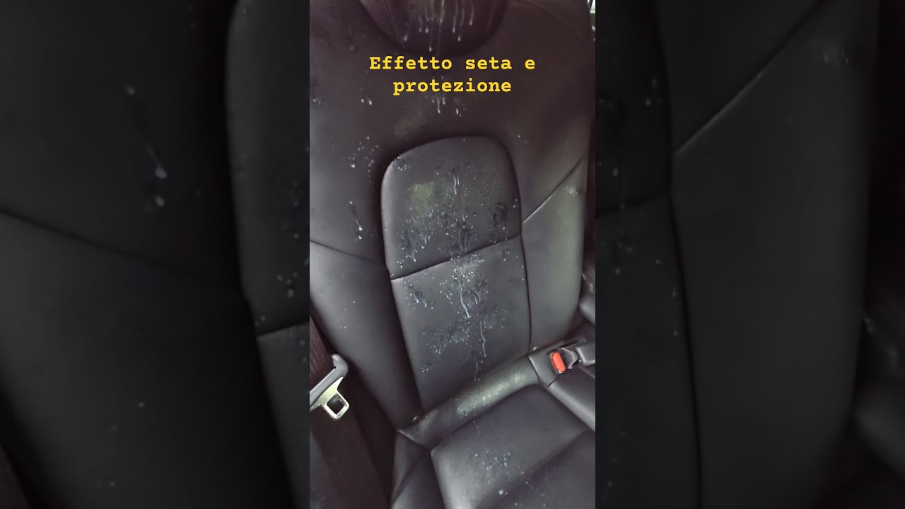 ADBL LEATHER QD | COME PULIRE FACILE I SEDILI IN PELLE. Pulizia e protezione sedili Tesla