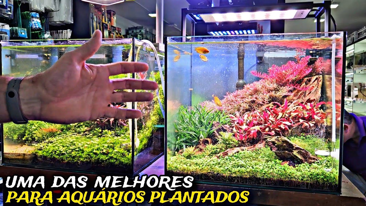 IMPORTAMOS UMA LUMINÁRIA MUITO TOP PARA AQUÁRIOS PLANTADOS!