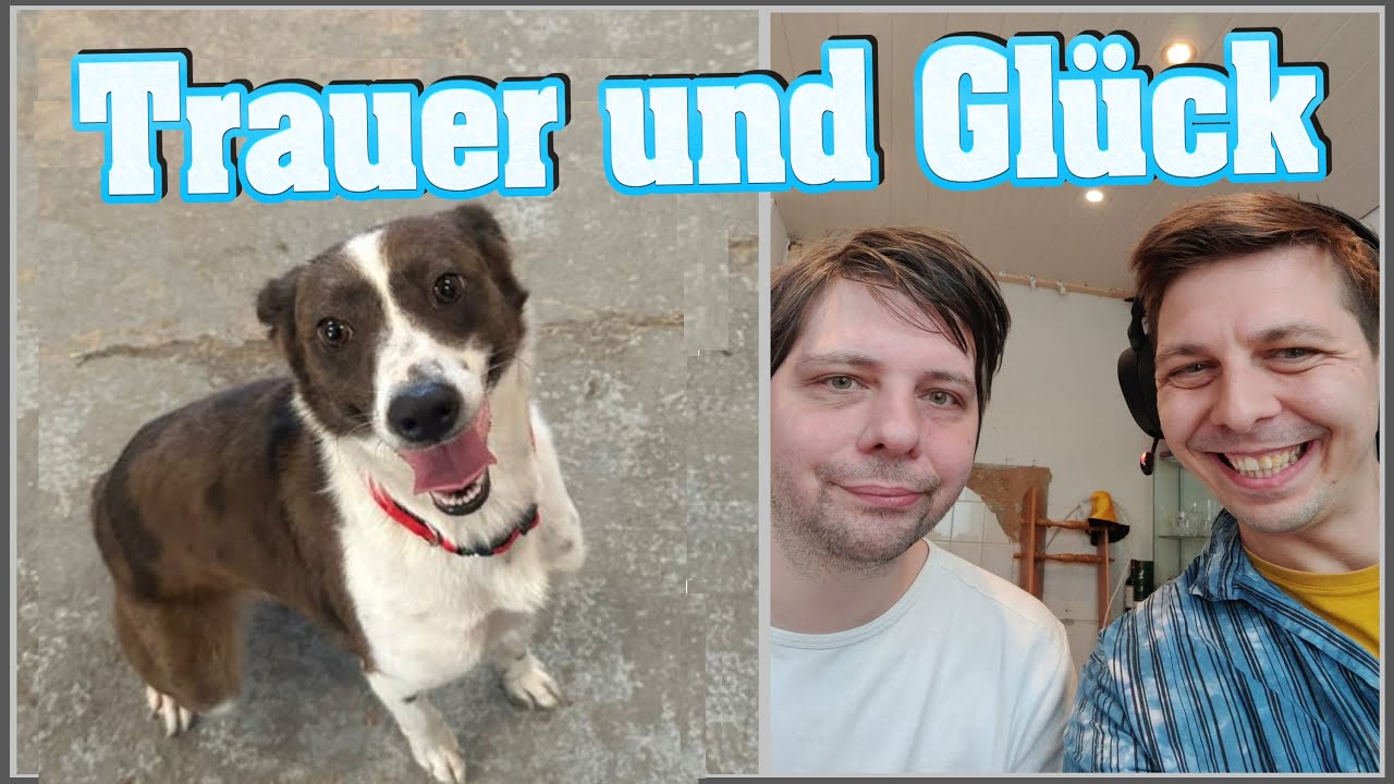 🐶 Emotional schwerer Abschied 🐕 | Einzug vom IggIbert 🎊