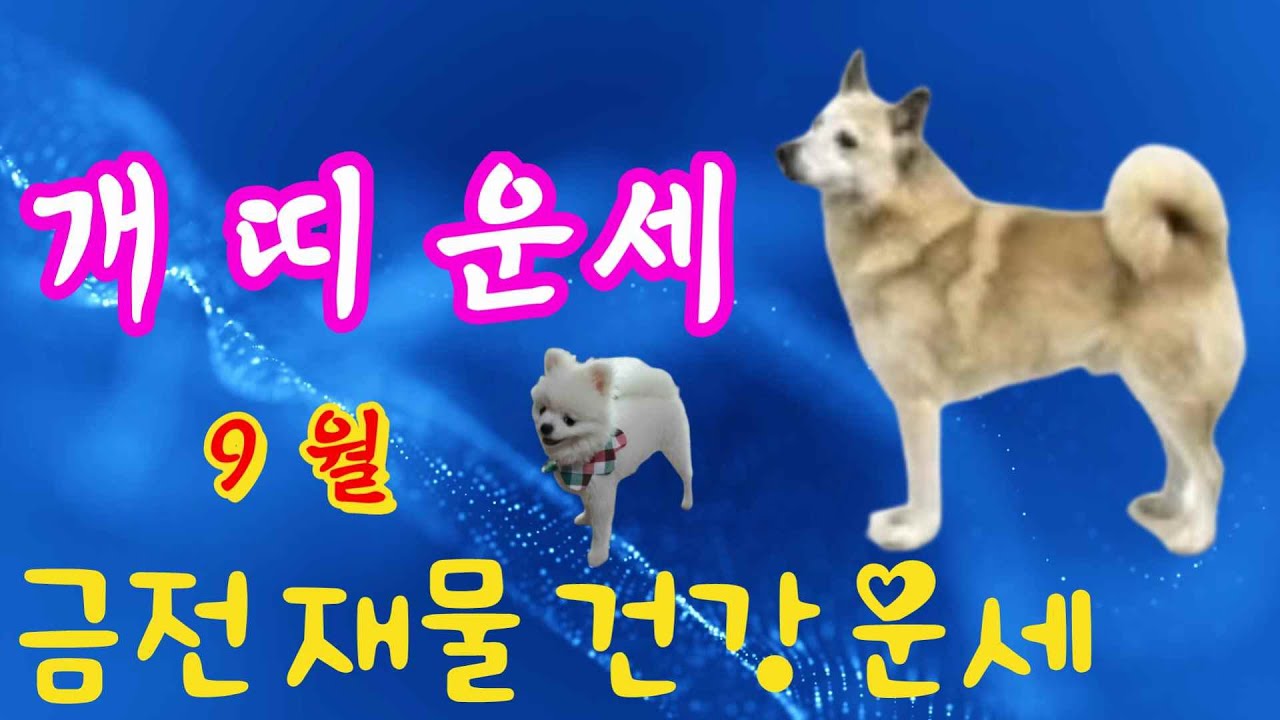 [부산점집_부산용한점집][금수신당_나비선녀] 개띠운세_9월개띠운세 금전운세 재물운세 건강운세 사업운세 영업운세 연애운세 영상보시고 참고 하셔서 부자 되세요 배스님tv