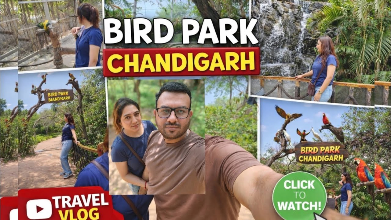 Visit to Bird Park Chandigarh || Smart city || 