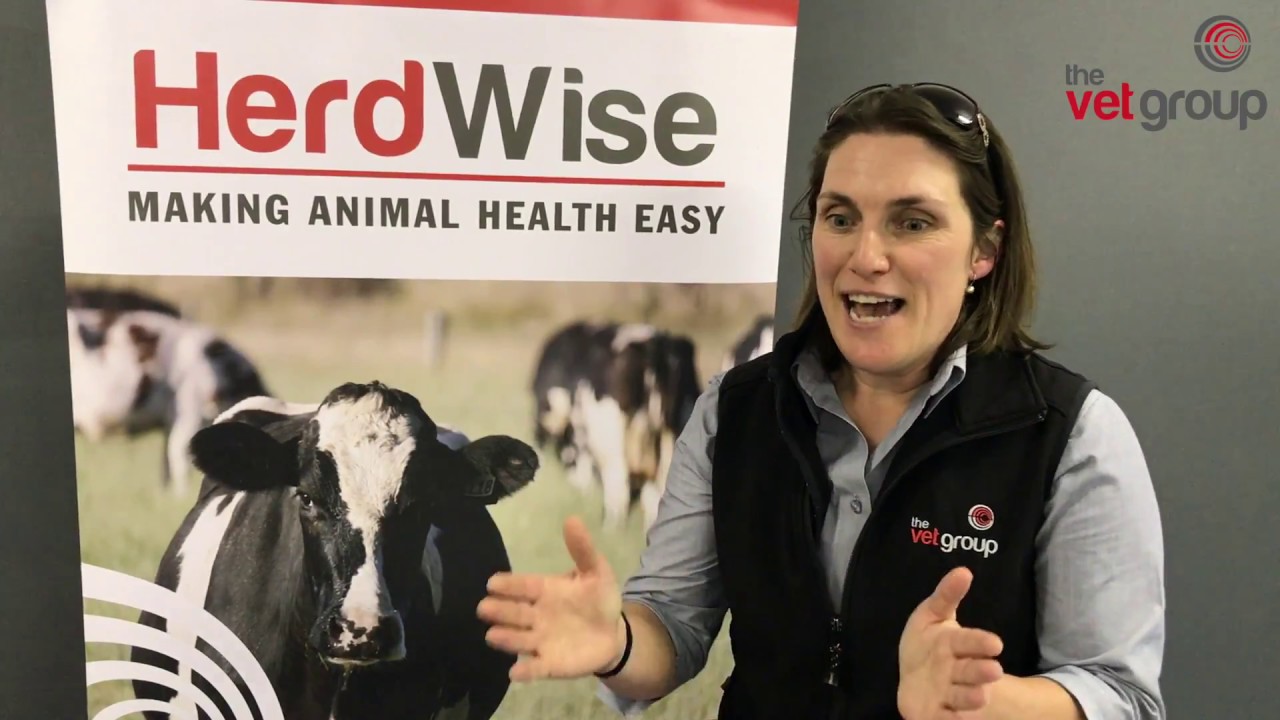 The Vet Group 2017 Milk Quality Video 1