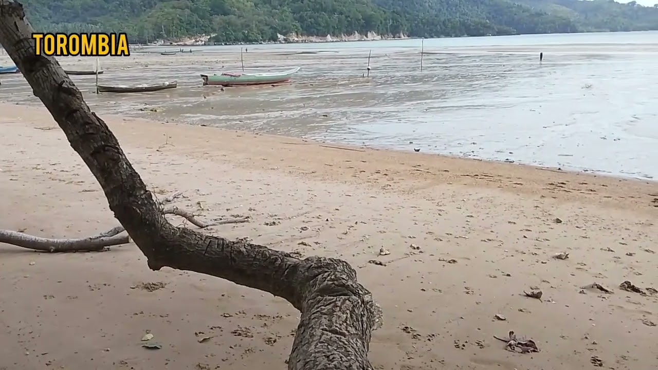 elekton nonstop ereke buton Utara