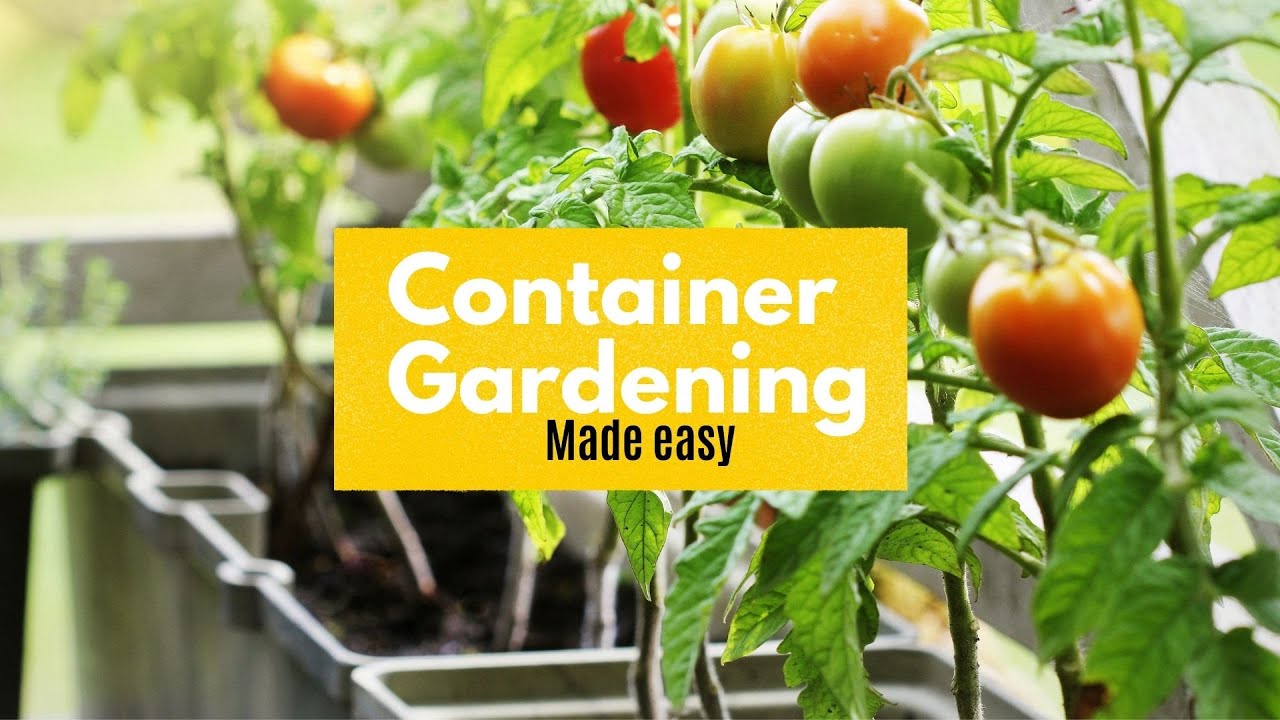 Container Gardening P1