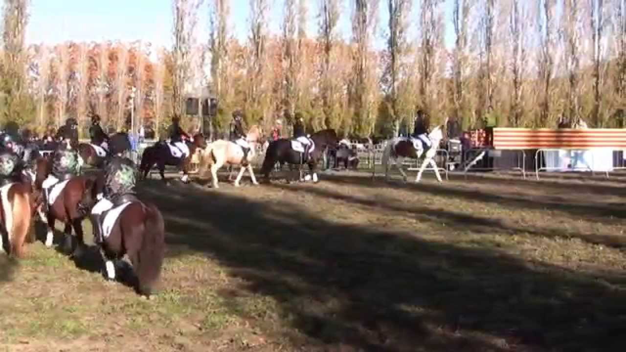 La crinera carrusel 2014