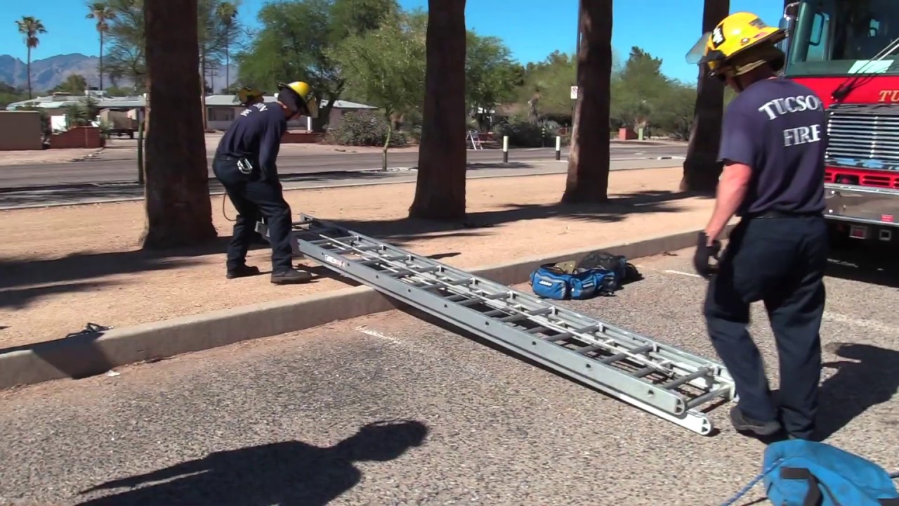 Palm Tree Rescue Ground Ladder