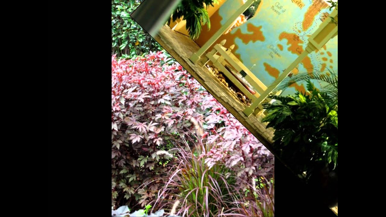 Dallas Texas Arboretum & Botanical Gardens Music Video