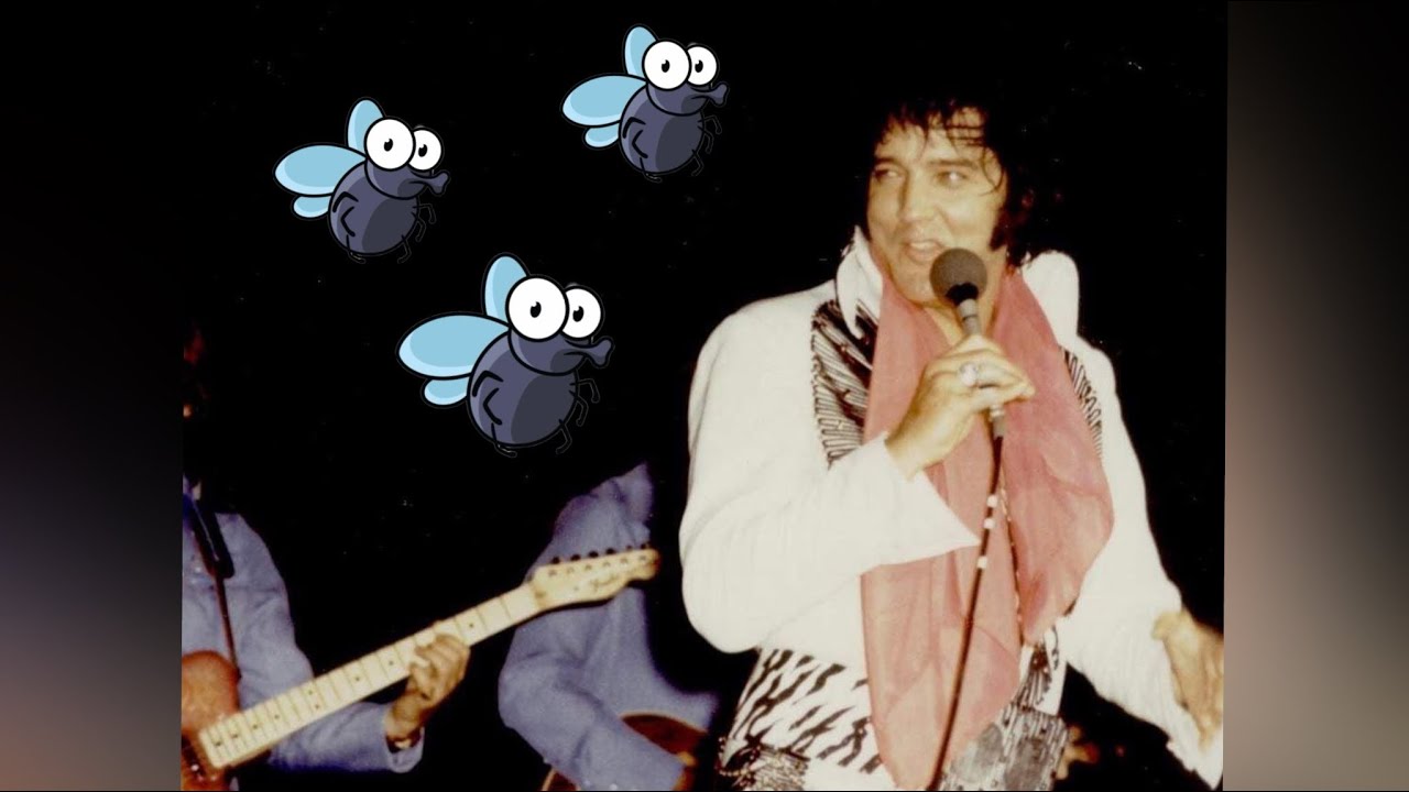Elvis Attracts Flies- other funny moments 6-8-75