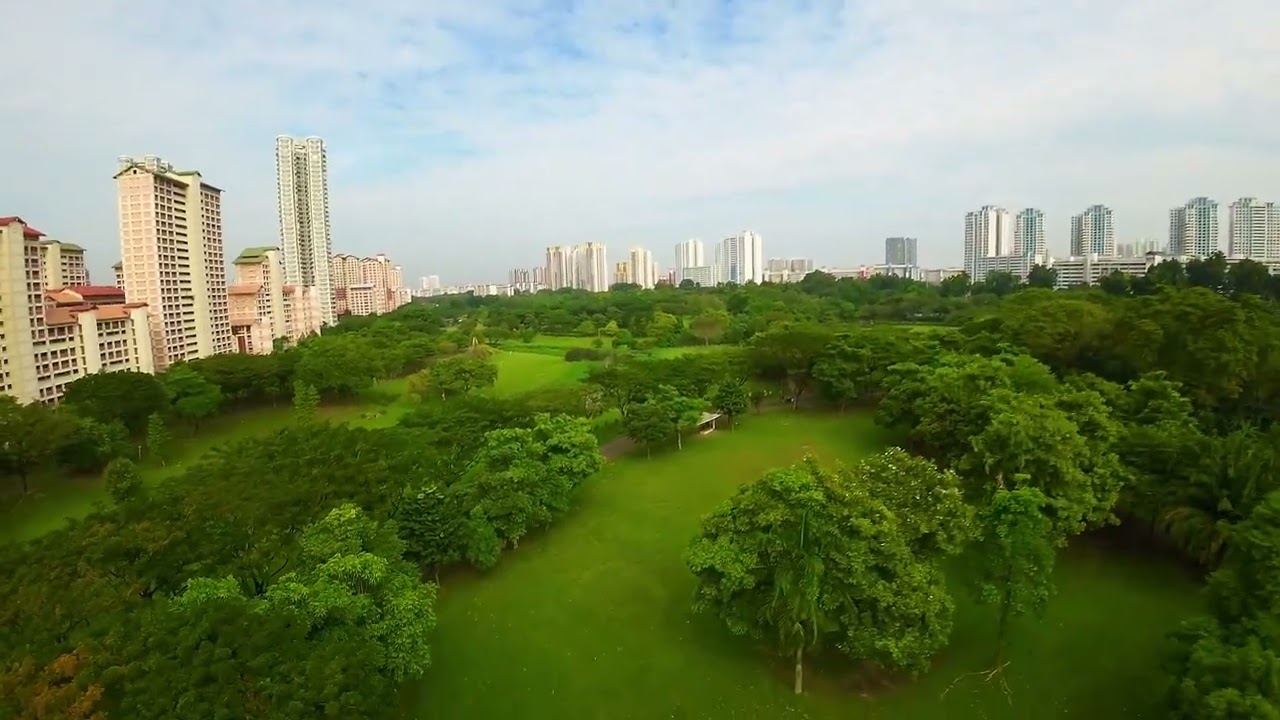 DJI Avata Fun Time @ Bishan Park 4K