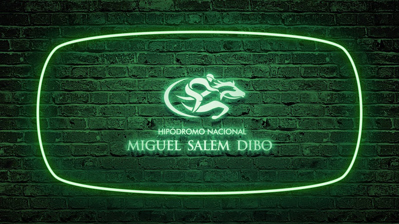 Carreras 6 de julio de 2025 - Hipódromo Miguel Salem Dibo