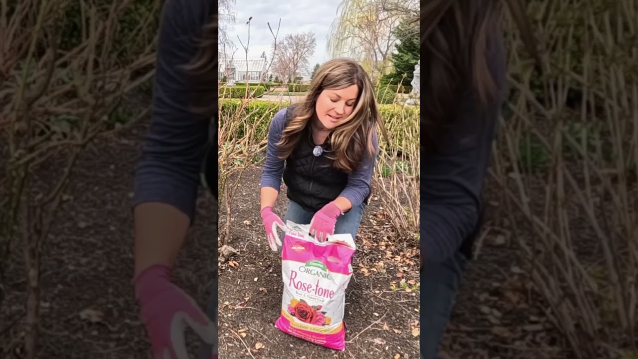 Feeding Roses & Hydrangeas 🌹🌸 // Garden Answer