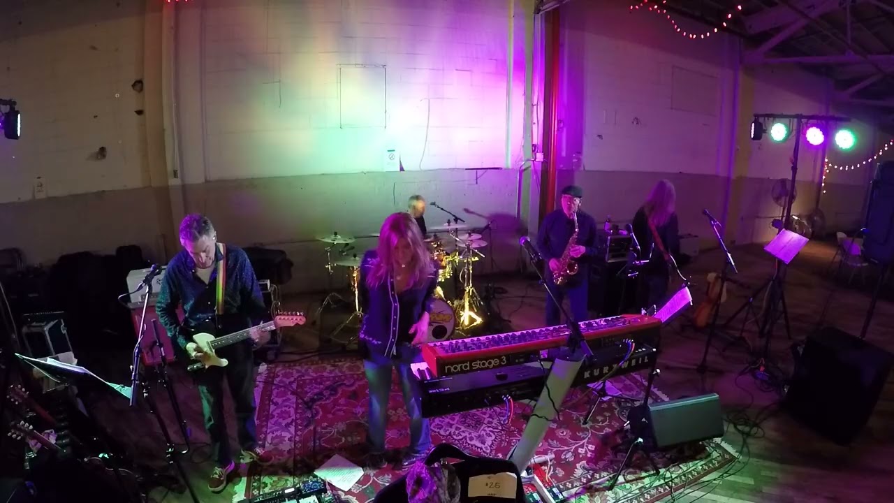 Honeypump Live  Montage of Songs- Columbia Animal Shelter