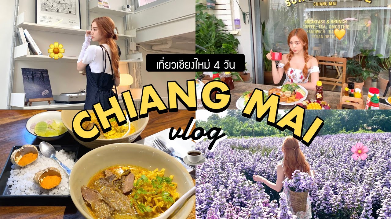 ✈️ BBJK IN CHIANG MAI กลับไทยฮีลใจ เที่ยวเชียงใหม่ 4 วัน! เก็บครบหมด vibes ดีสุดๆ | Babyjingko