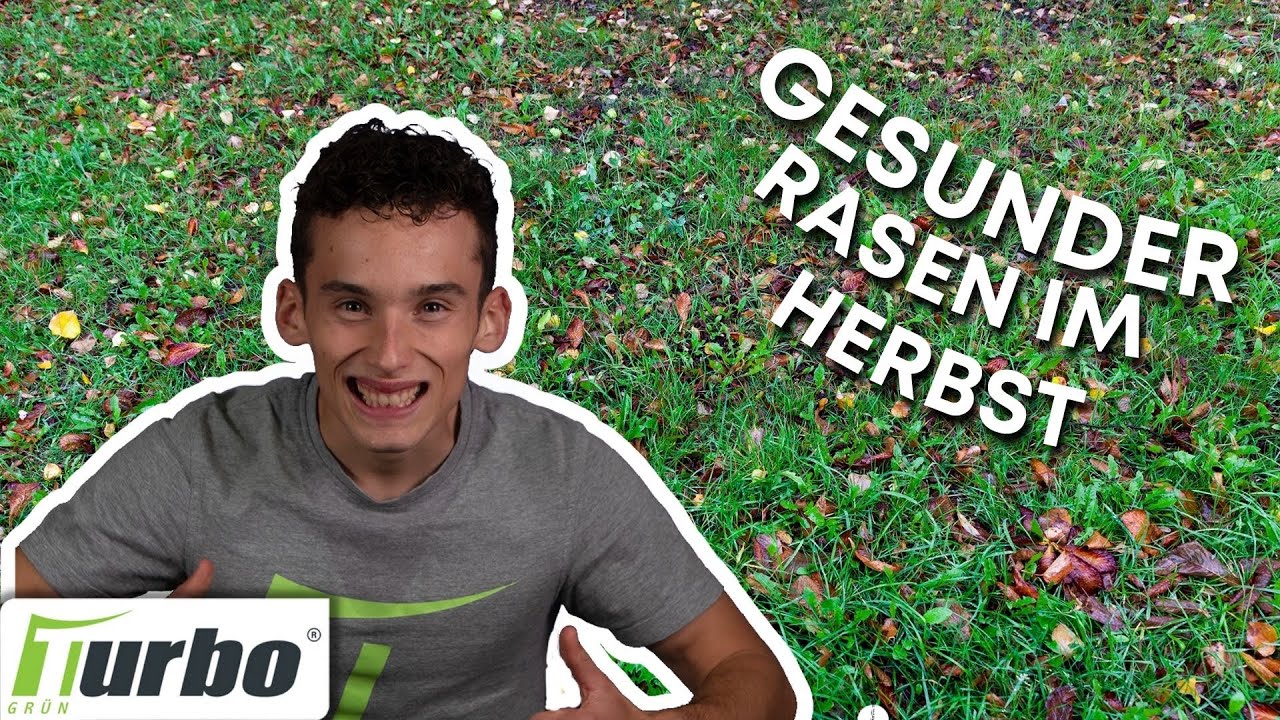 5 Rasentipps f&uuml;r den Herbst 🍁 | Rasenpflege im Herbst | Turbogr&uuml;n