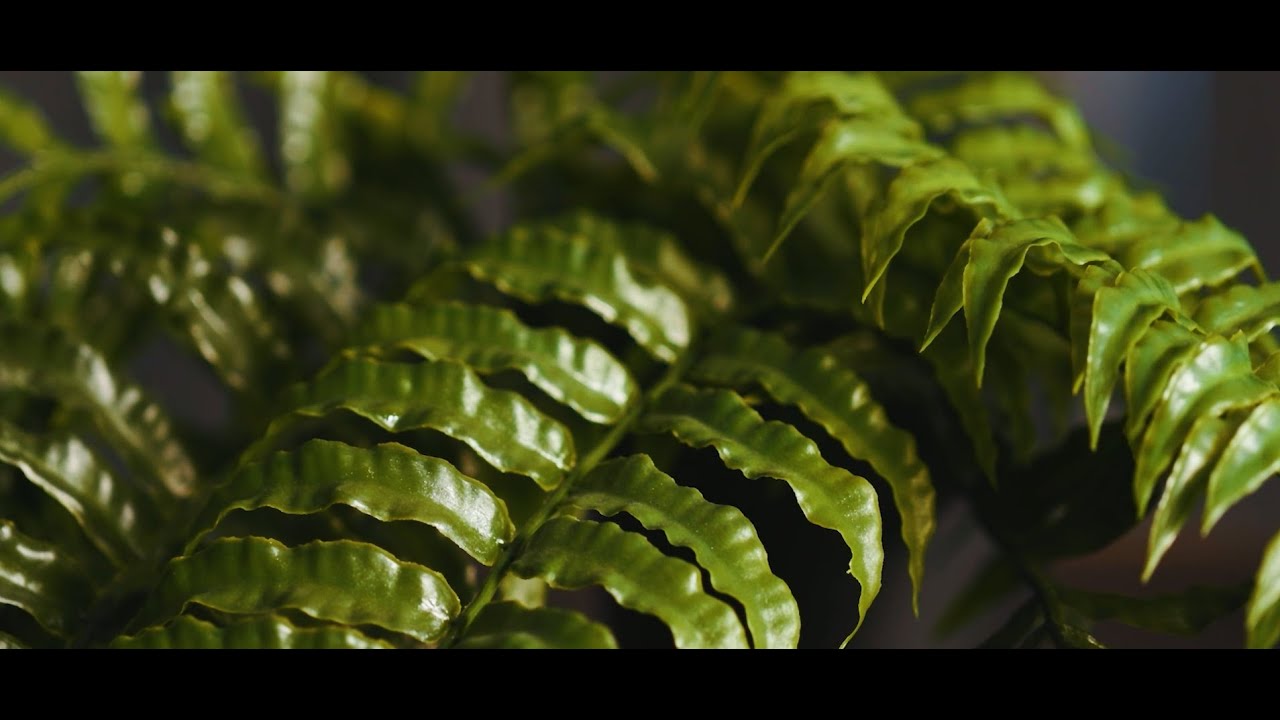 Forever Greenery