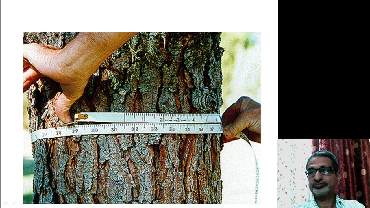 How to estimate a standing tree volume; imp topic for IFS, SFS, Forest Rangers and forestry students