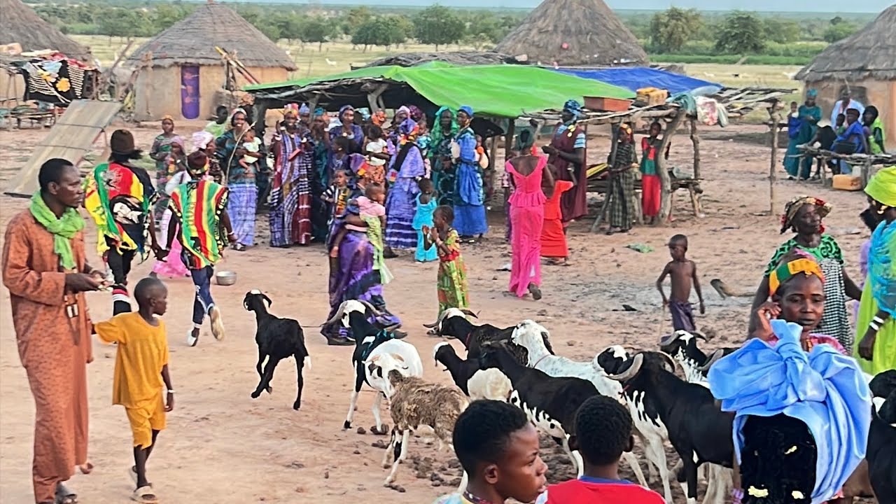 FULBE FERLO VILLAGE DE WENDOU BOKKI DU 25 SEPTEMBRE 2025 À WENDOU BOKKI Pattouki #Ferlo #pattouki 