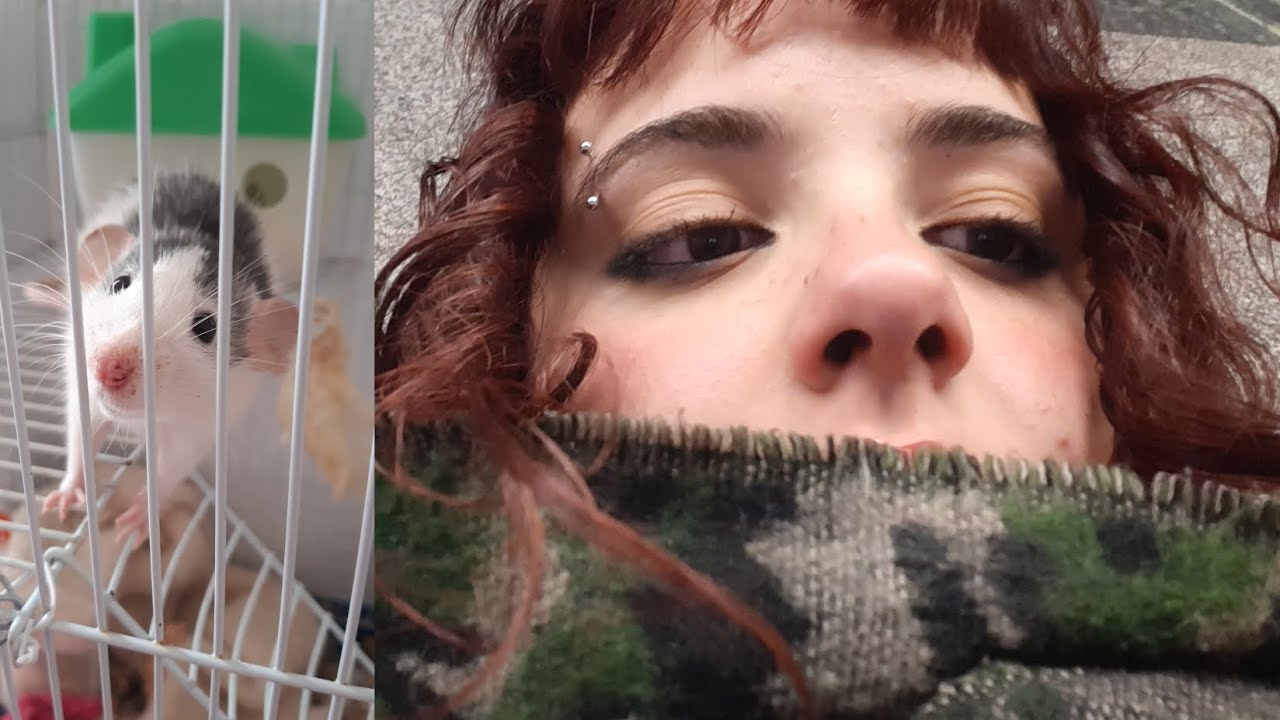 vlog.1 bla bla bla⭐️