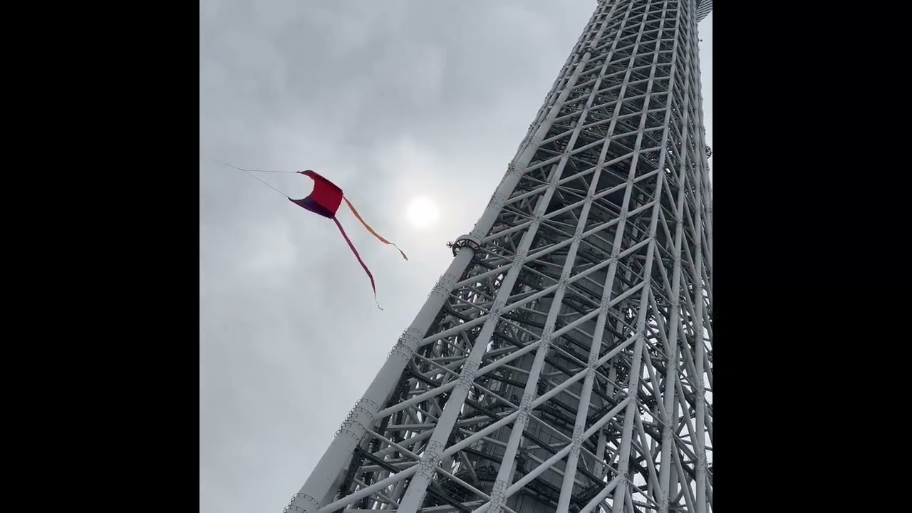 【ラングスジャパン】アースカイト