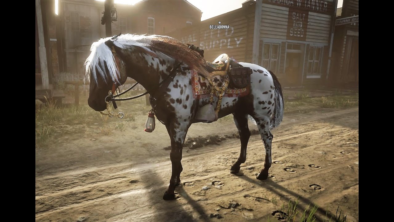 Red Dead Online: Best 