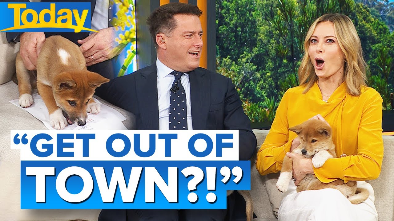 Karl and Ally discover massive coincidence with first dog names | Today Show Australia