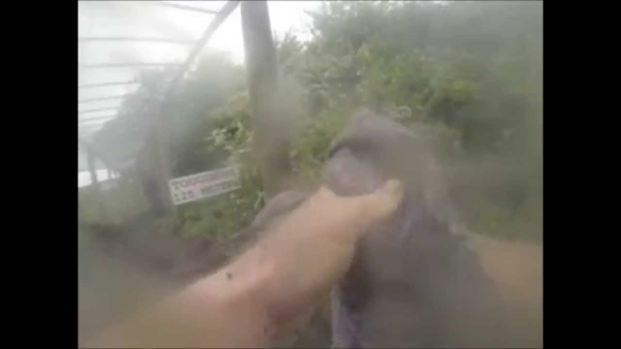 Elite Commando Fitness Paul 'airs' his disappointment on the Gorilla Bars