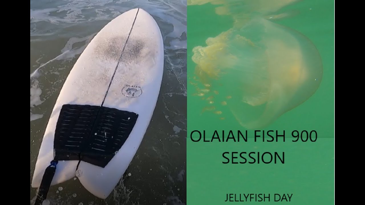 POV SURF *Olaian fish 900* Summer waves
