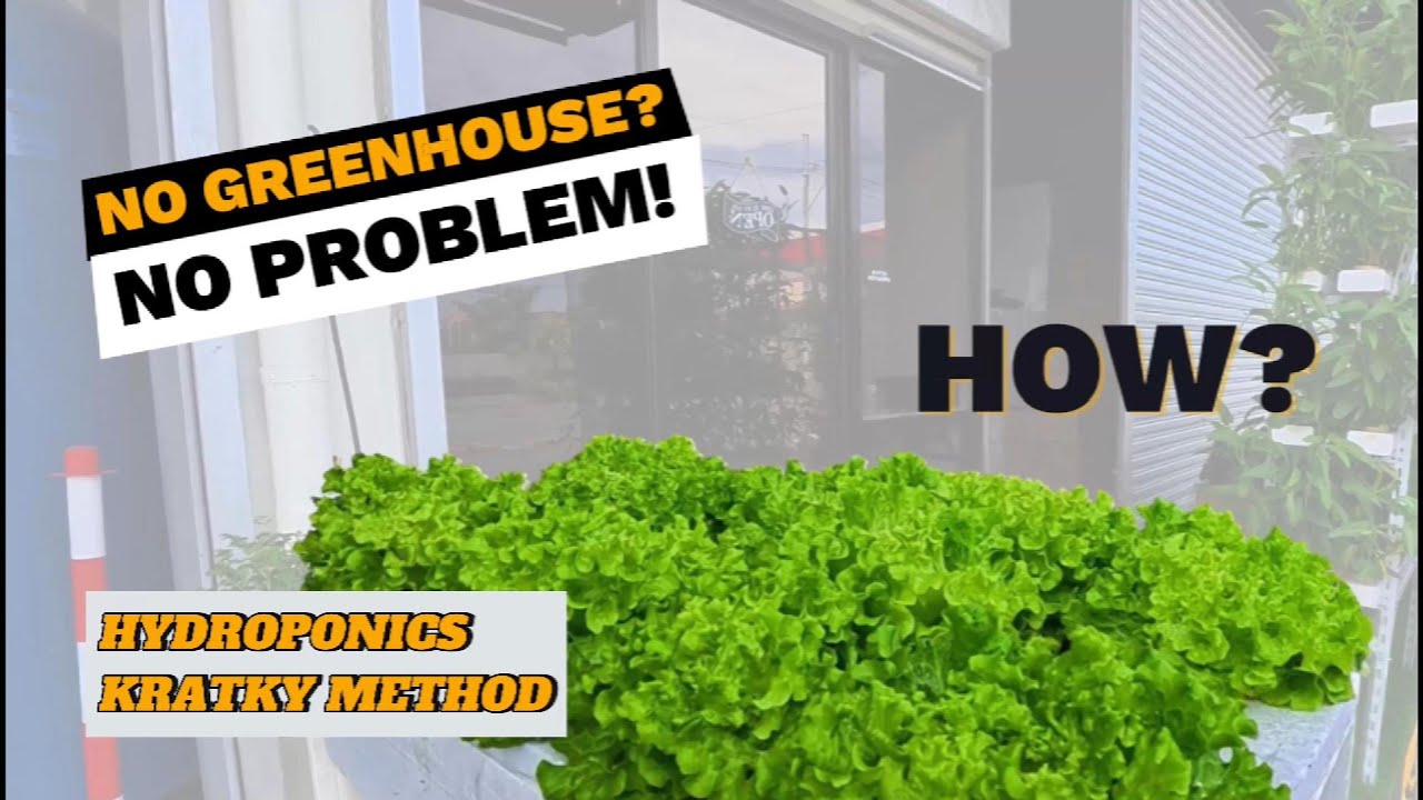 Hydroponics Set Up  | No Greenhouse | Posible Kahit Na Maliit ang Space