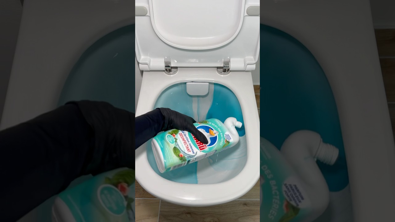 Routine m&eacute;nage des toilettes 🫧🩵#asmr #asmrsounds #cleanwithme #cleaningmotivation #toiletcleaning