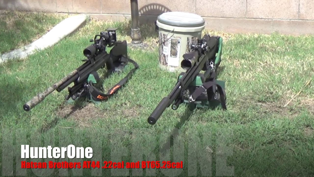 Pellet Comparison  .22 vs  .25