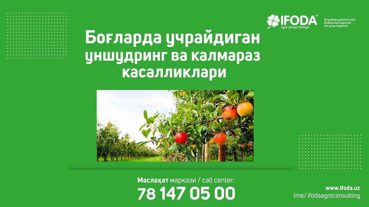 Боғларда учрайдиган уншудринг ва калмараз касалликлари
