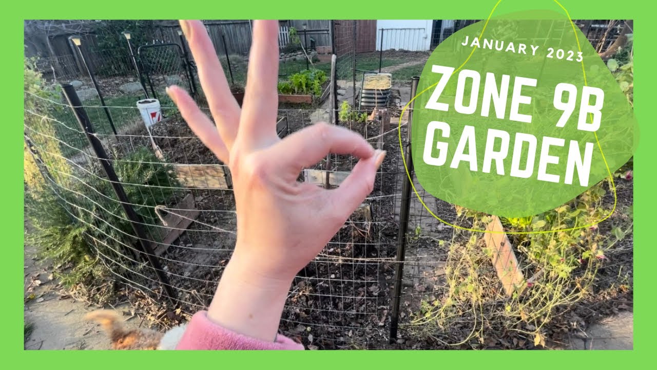 STARTING SEEDS in JANUARY?! Zone 9B Garden