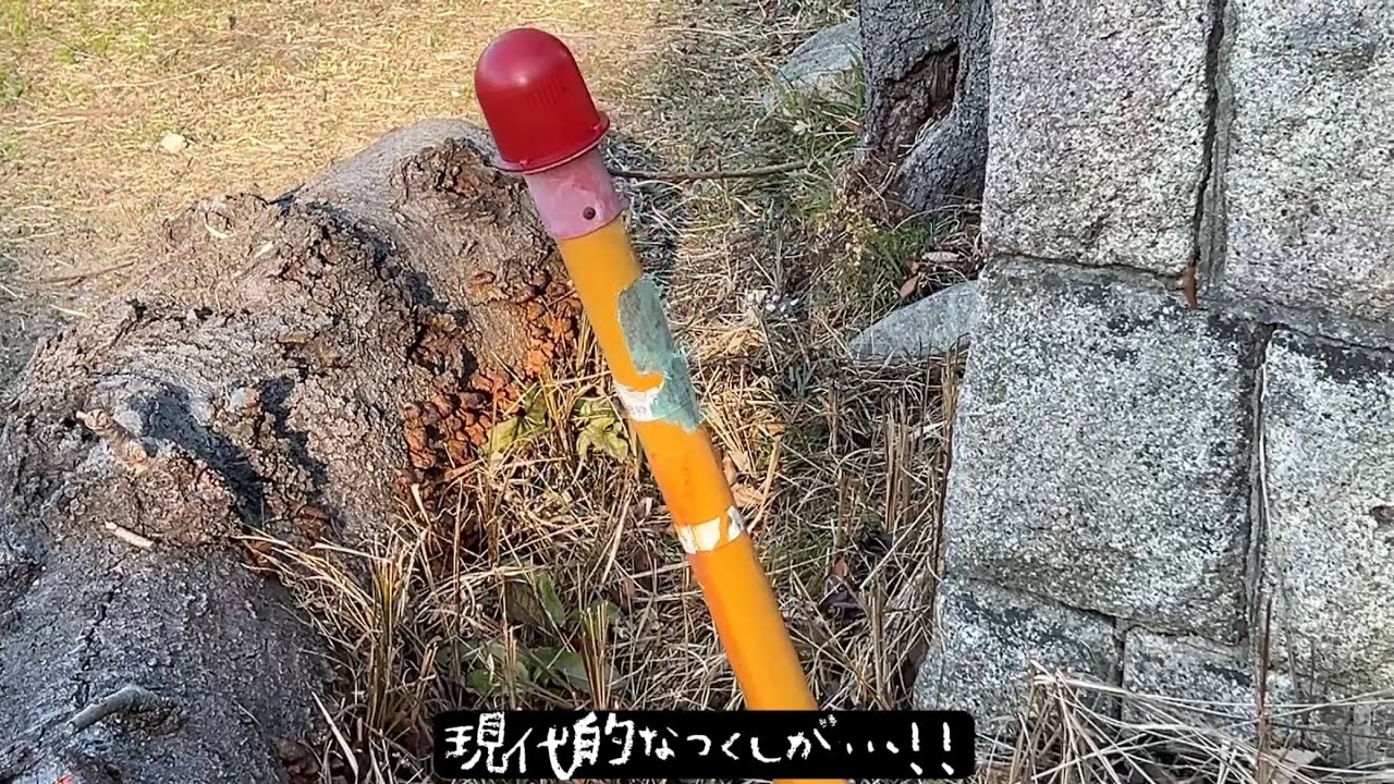 気晴らしお散歩