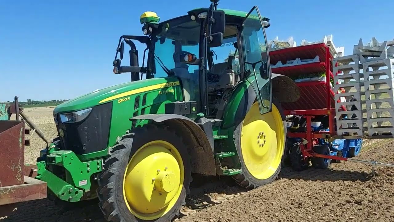 Wiosenne sadzenie selera korzeniowego sadzarką FERRARI z JOHN DEERE. Seler korzeniowy warzywo.