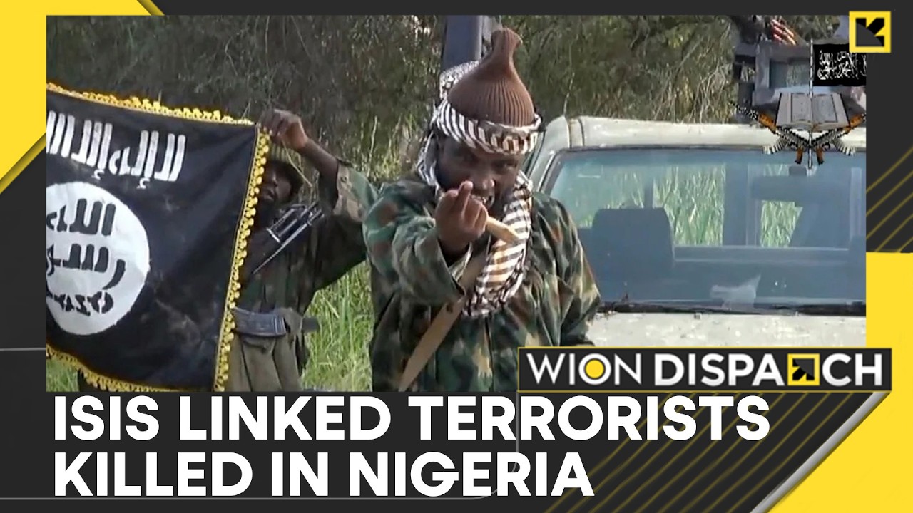 ISIS-Linked Terrorists Killed in Nigeria | Ground Troops & Air Surveillance Strike | WION Dispatch