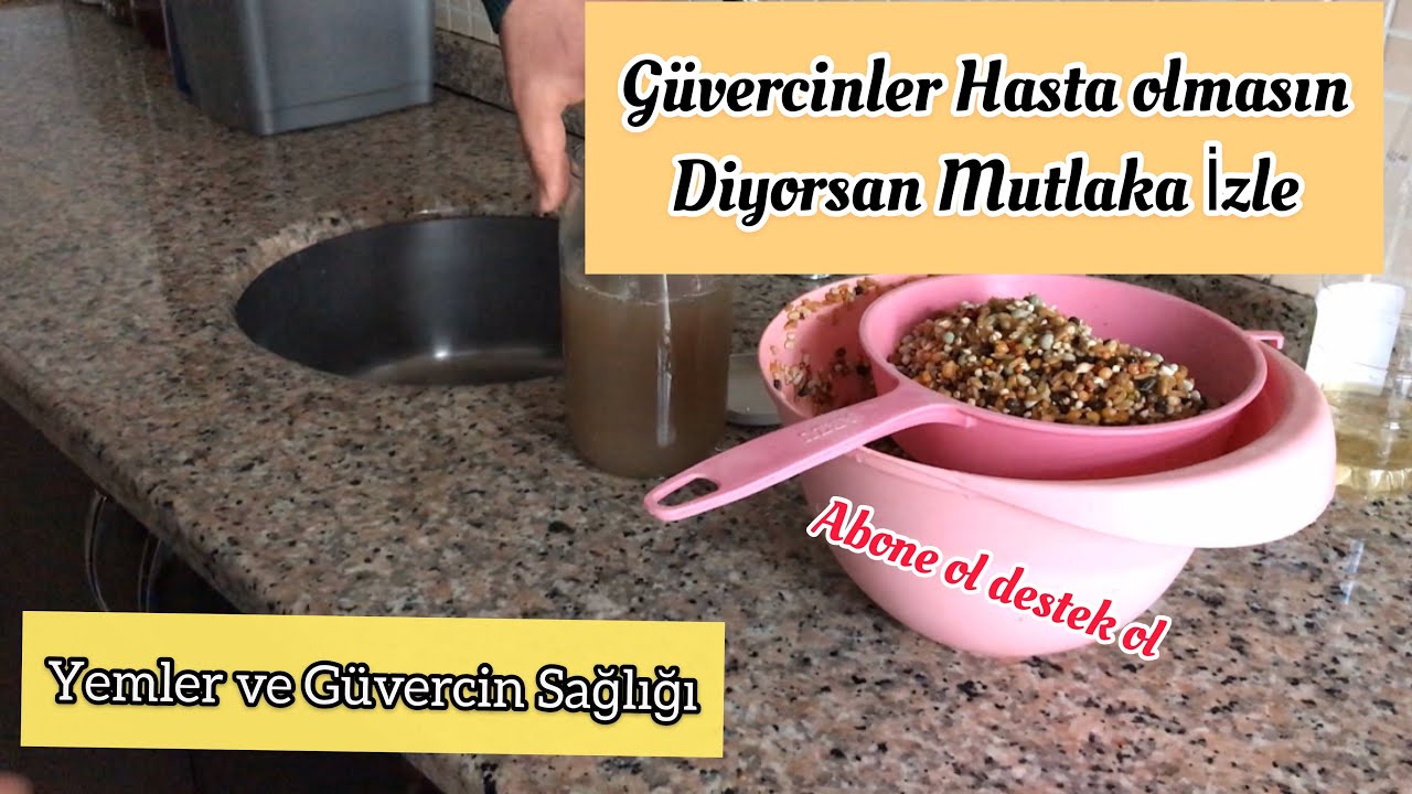 MUTLAKA İZLE KUŞLARINIZ HASTA OLMASIN | GÜVERCİN YEMLERİ VE ELMA SİRKESİ | KUŞ SAĞLIĞI