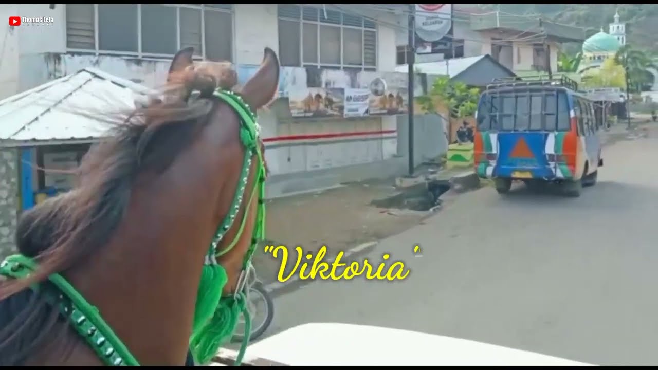 The Fast Running Horse Of 