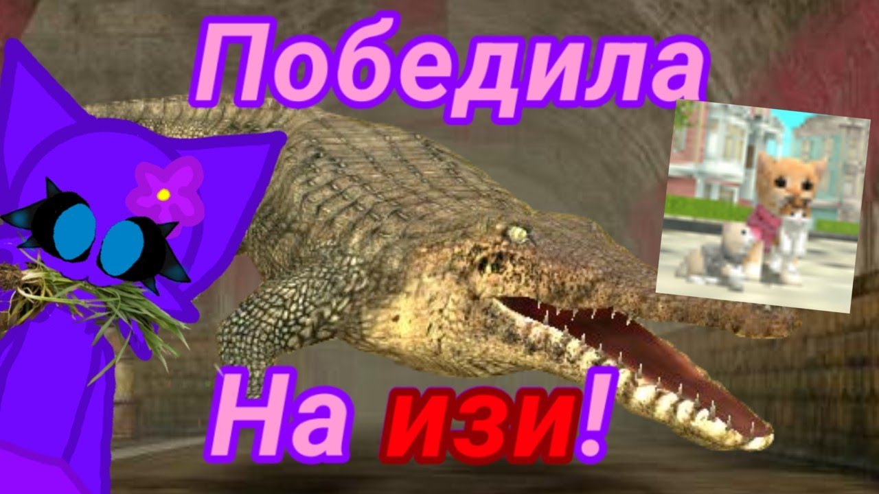 😱КАК НА ИЗИ ПОБЕДИТЬ КРОКОДИЛА В CAT SIM?😱 Ответ в этом видео! 😊