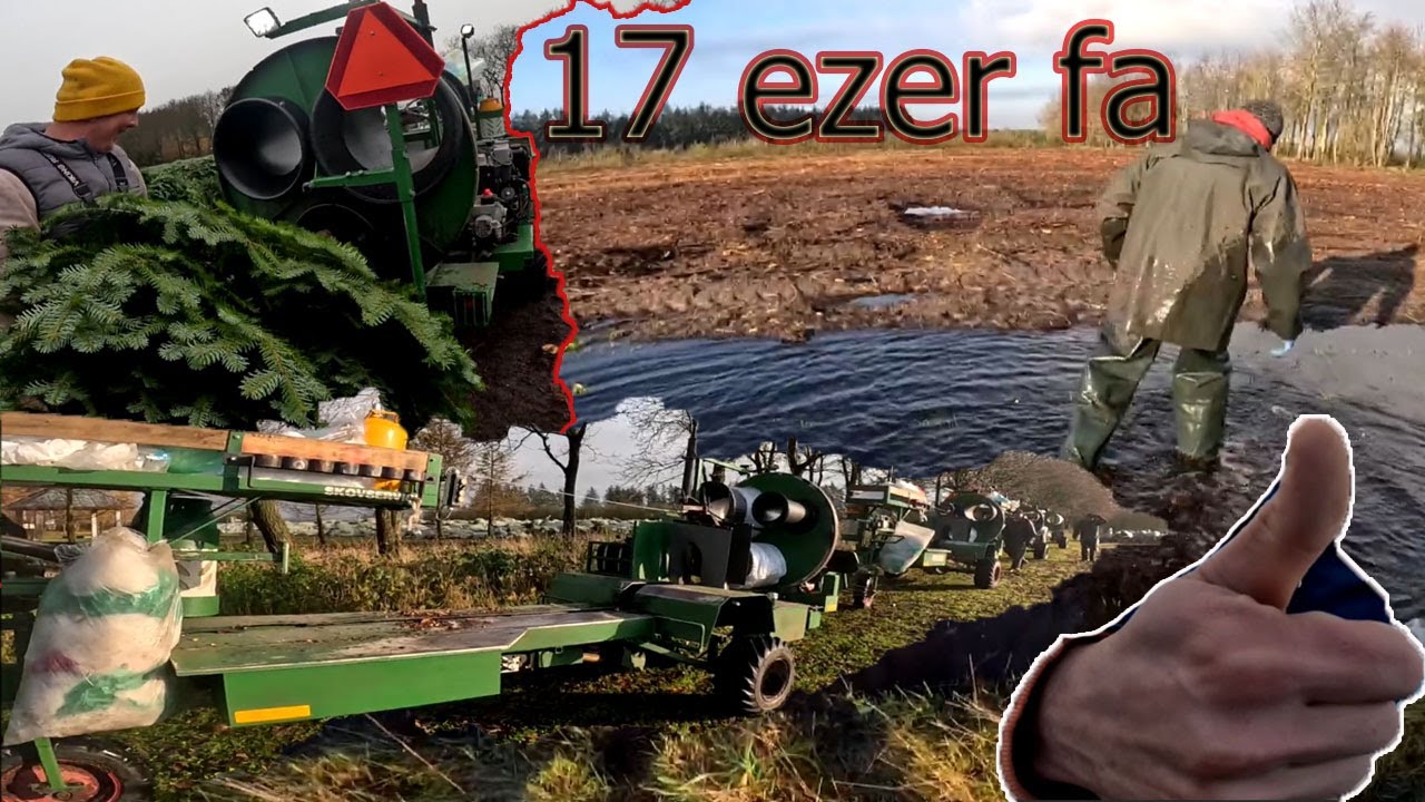 17 EZER FA ? 4 Géppel Be Nyomtuk A Fiukkal / Ennyi volt?