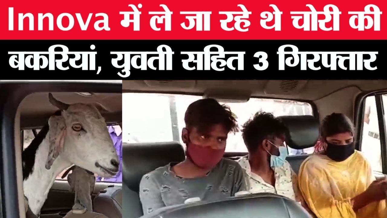 इनोवा में ले जा रहे थे चोरी की बकरियां, युवती सहित 3 गिरफ्तार | Cobrapost