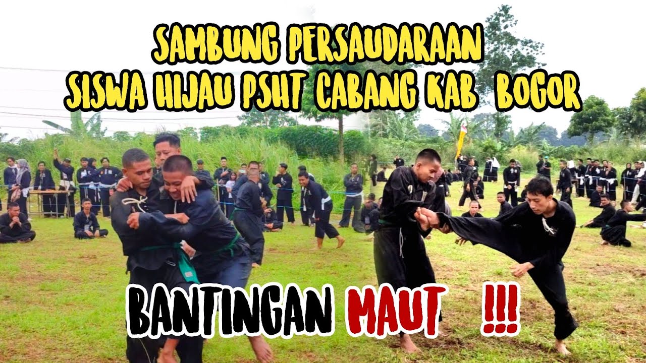 SAMBUNG PERSAUDARAAN | UKT Sabuk Hijau Ke Putih PSHT CABANG KAB.BOGOR
